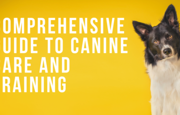 A Comprehensive Guide to Canine Care and Training