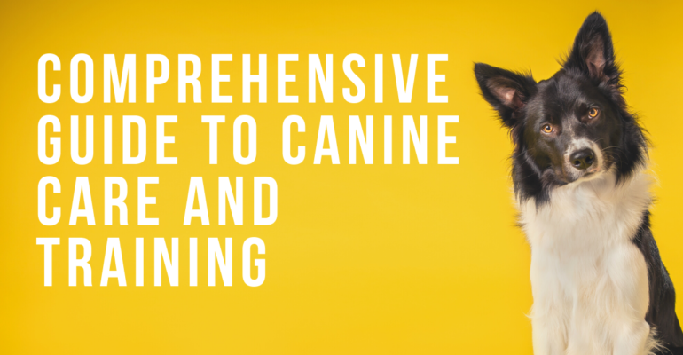 A Comprehensive Guide to Canine Care and Training