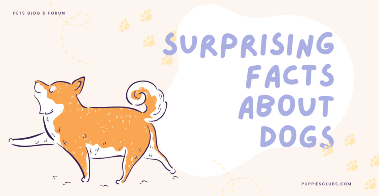 SurprIsIng Facts About Dogs