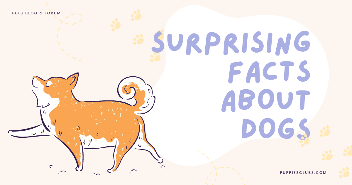 SurprIsIng Facts About Dogs