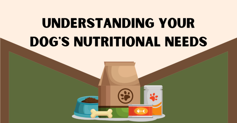 Understanding Your Dog's Nutritional Needs