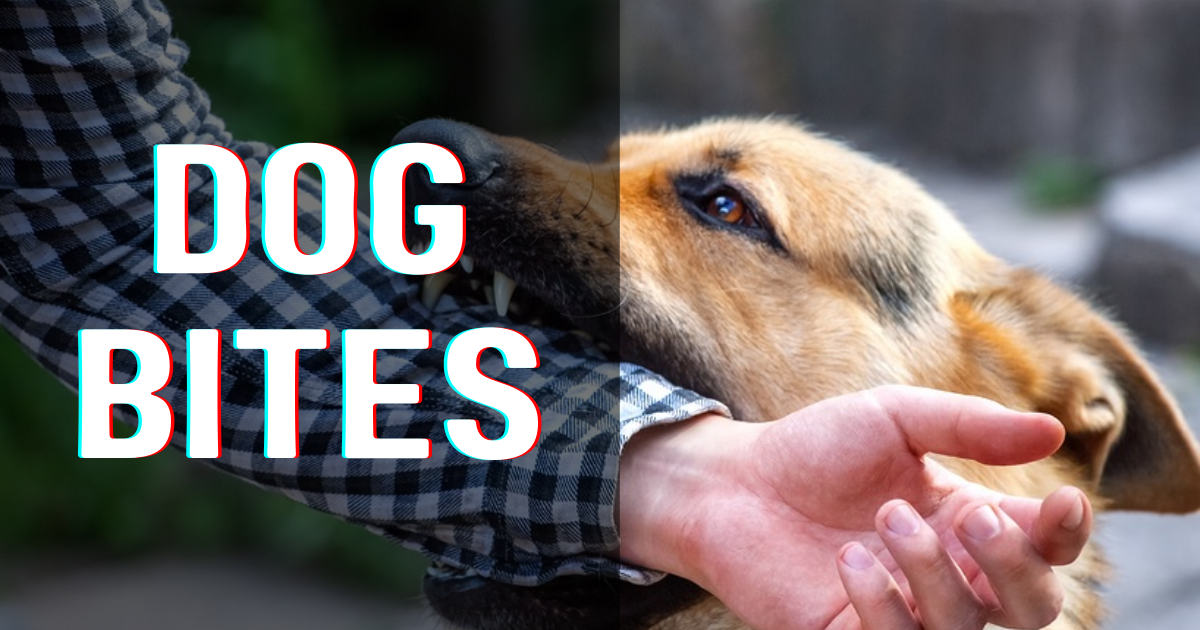 Dog Bites: How Big a Problem?